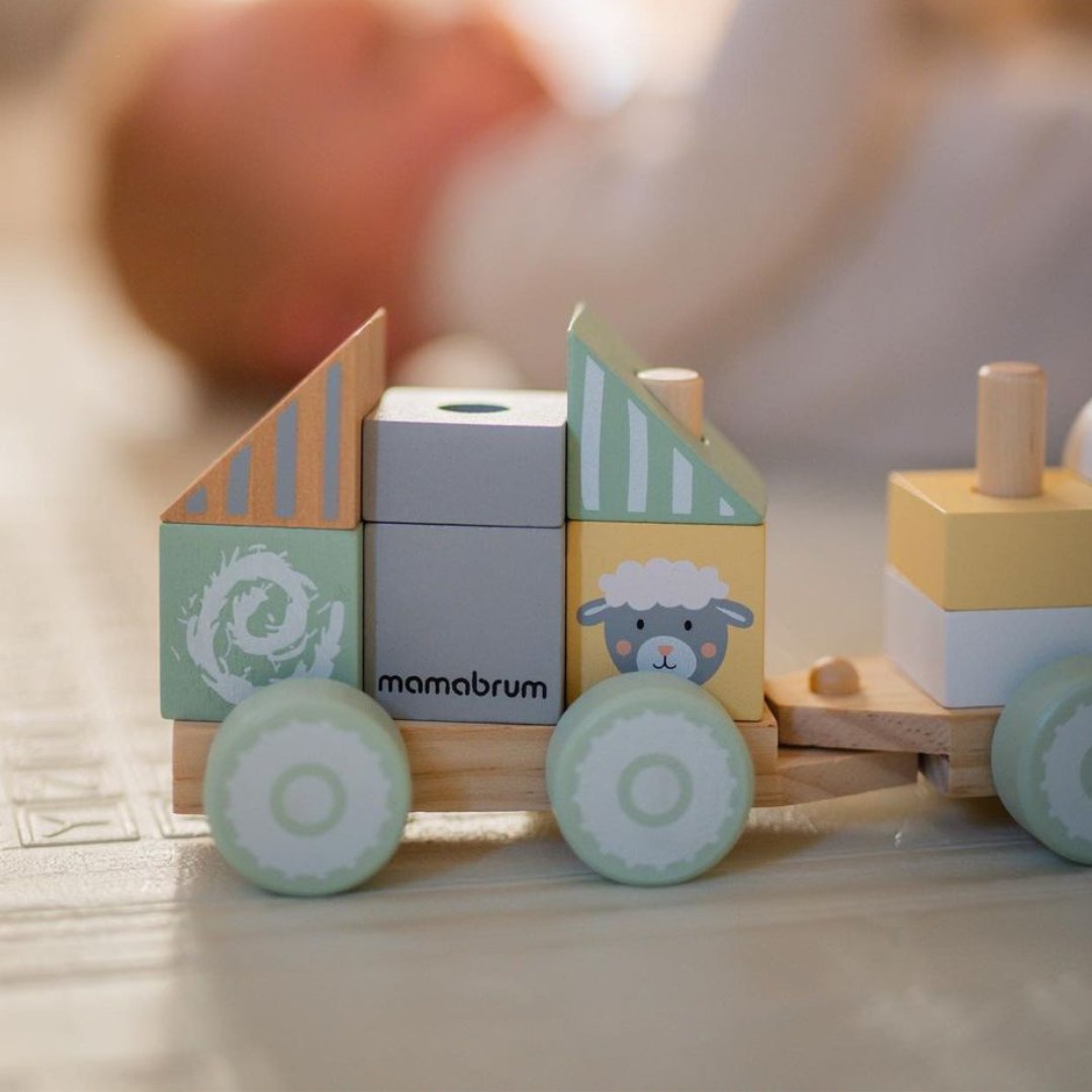 Trem de madeira com blocos para menino - Fazenda