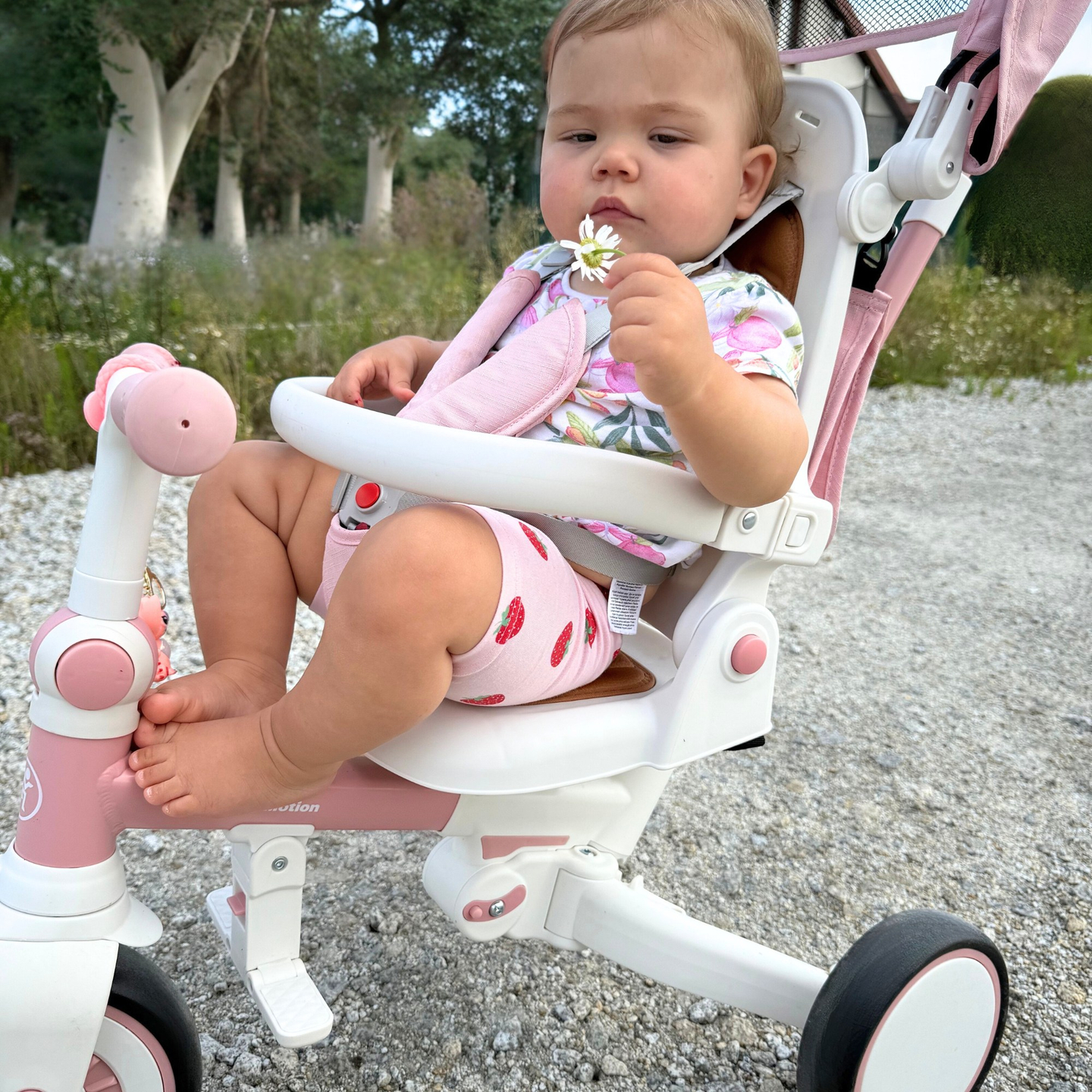 Triciclo multifunções 8em1 TOBI FOREST - cor-de-rosa