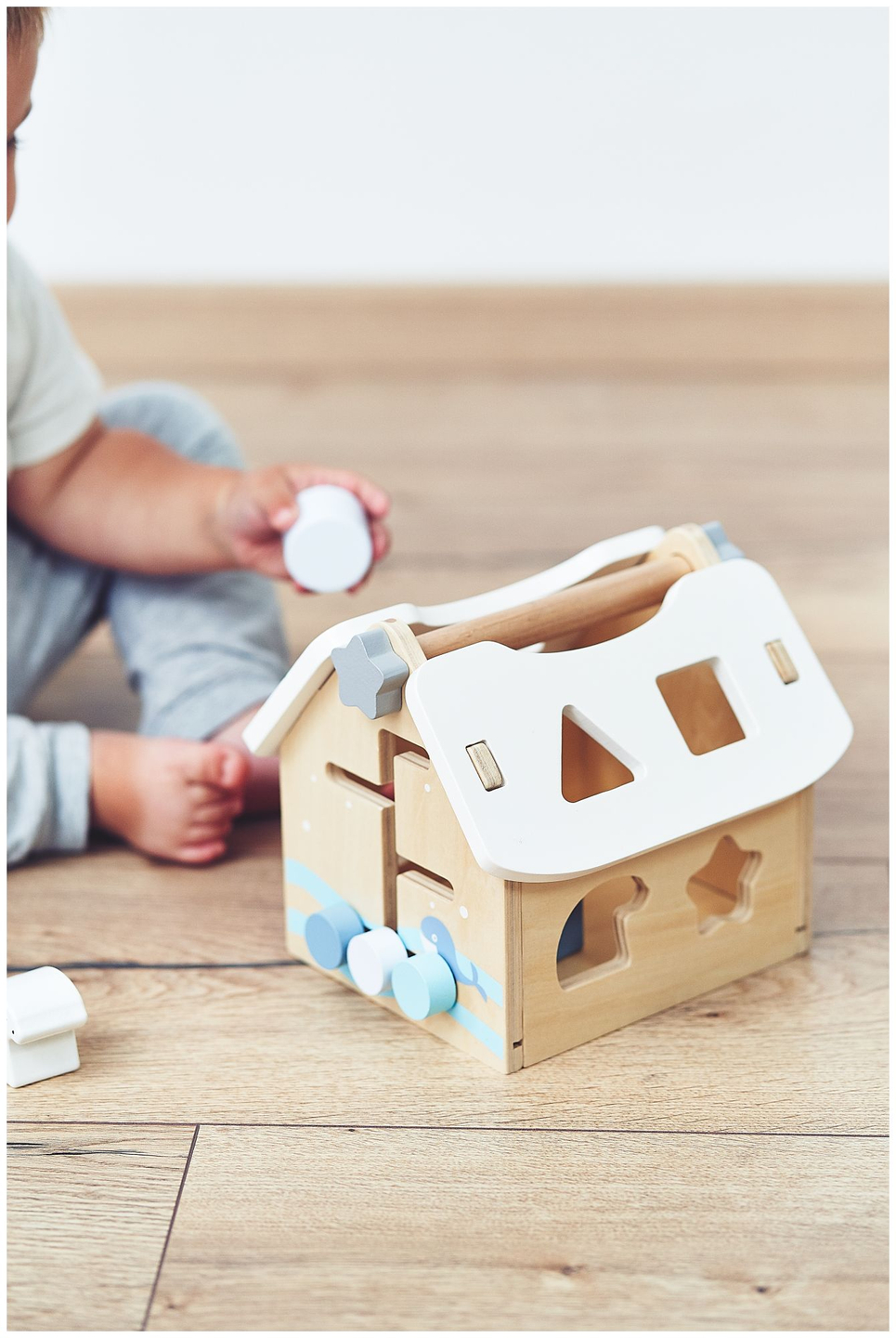 Sorter - uma casa educacional de madeira com blocos