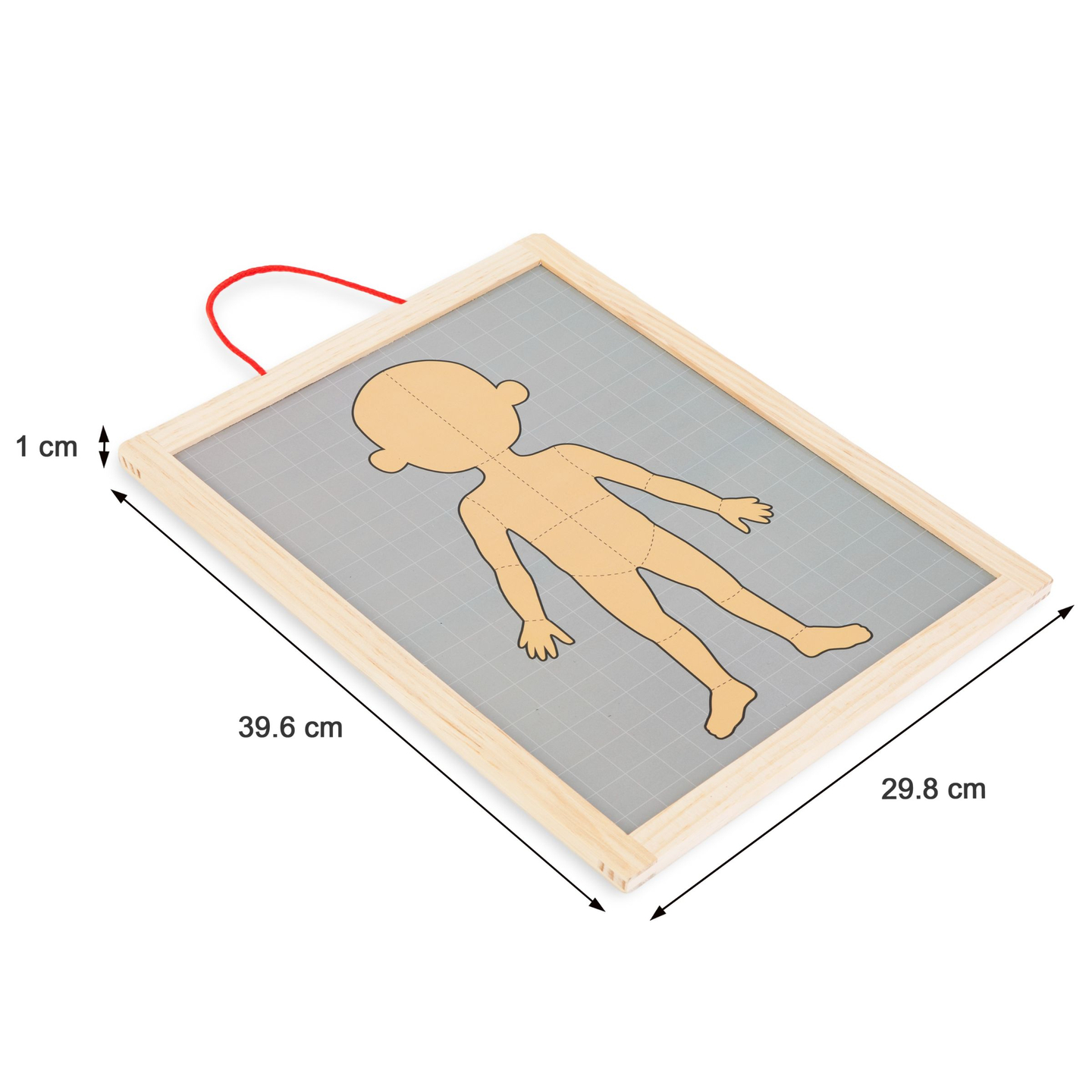 Quebra-cabeças magnéticos - Aprendendo anatomia - Corpo humano