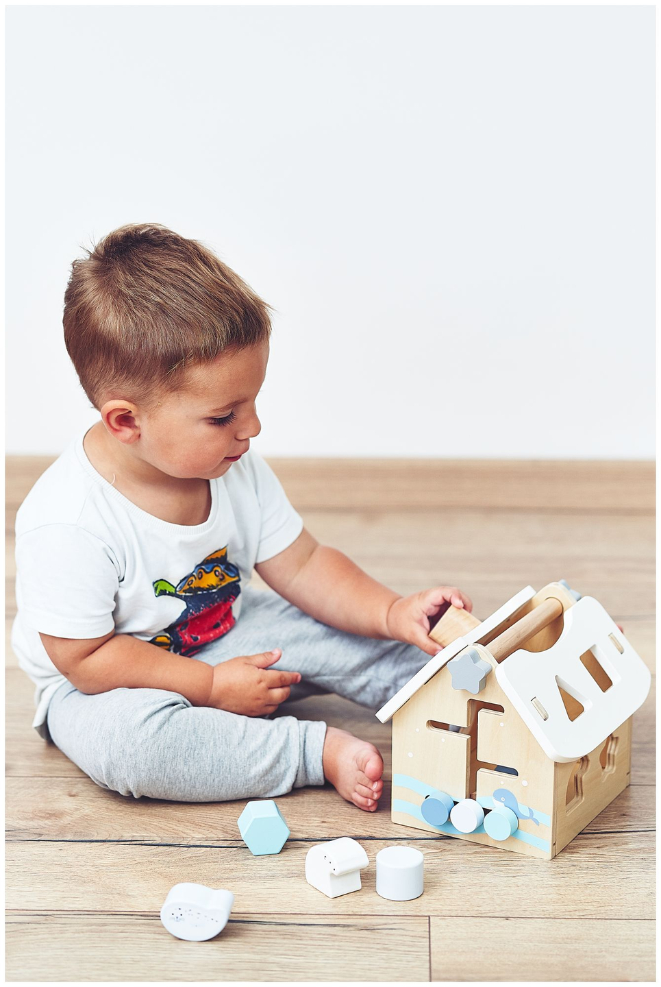 Sorter - uma casa educacional de madeira com blocos