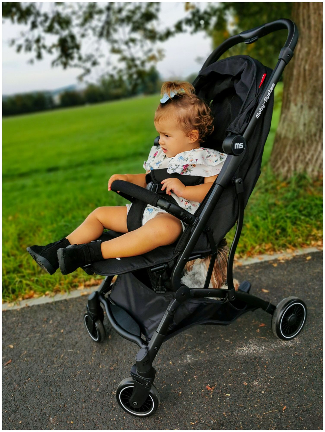 Carrinho de passeio LENA Moby-System