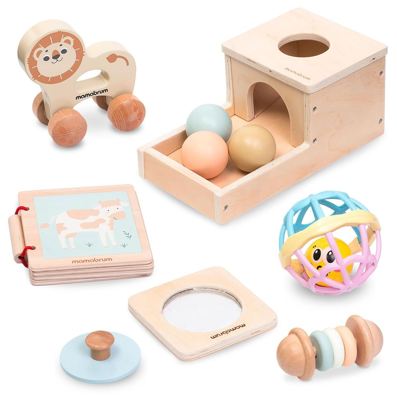 Conjunto de brinquedos Montessori para bebé 7-12 meses