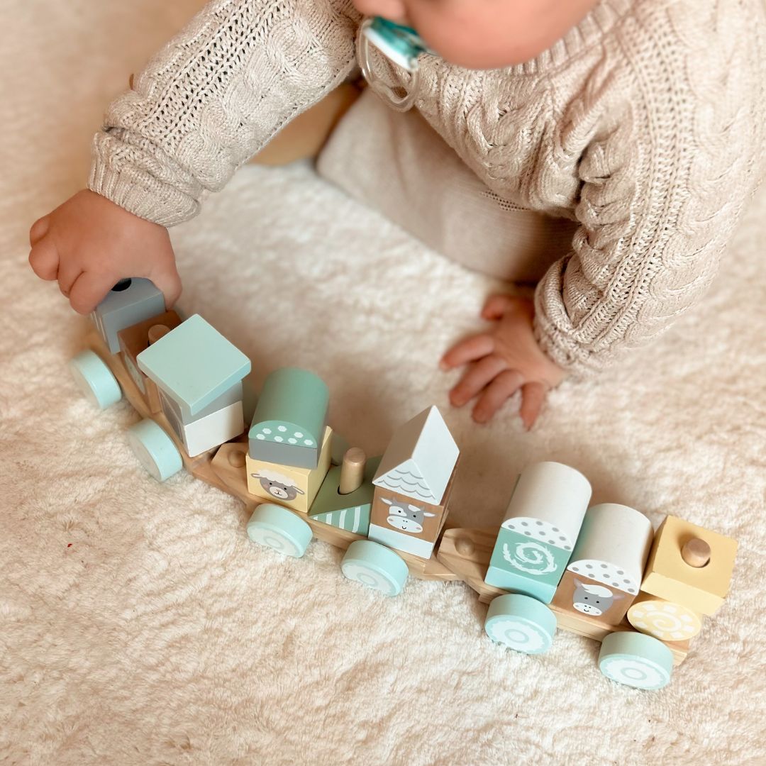 Trem de madeira com blocos para menino - Fazenda