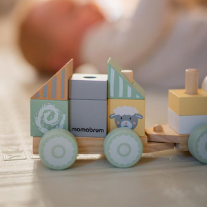 Trem de madeira com blocos para menino - Fazenda